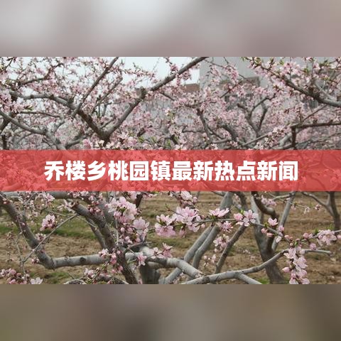 乔楼乡桃园镇最新热点新闻