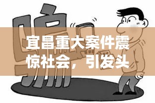 宜昌重大案件震惊社会，引发头条热议