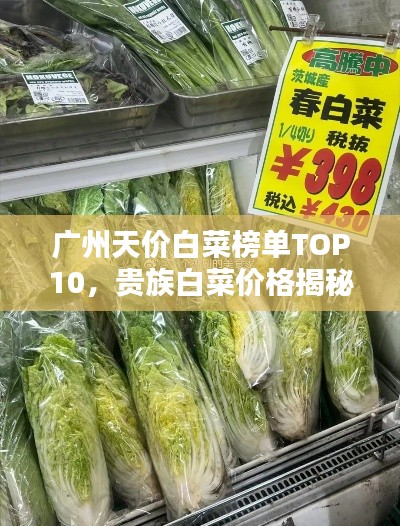 广州天价白菜榜单TOP10，贵族白菜价格揭秘