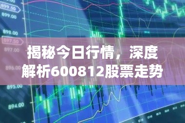 揭秘今日行情，深度解析600812股票走势与未来展望