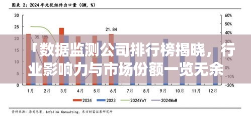 「数据监测公司排行榜揭晓，行业影响力与市场份额一览无余」