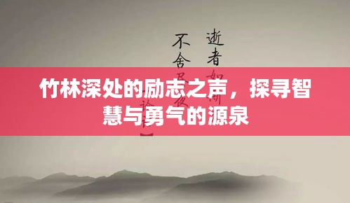 竹林深处的励志之声，探寻智慧与勇气的源泉