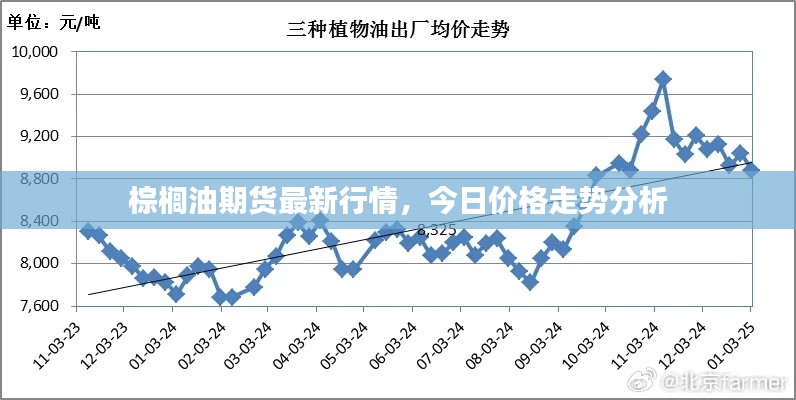 棕榈油期货最新行情，今日价格走势分析