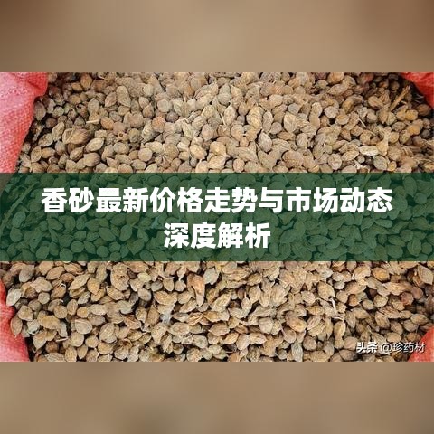 香砂最新价格走势与市场动态深度解析