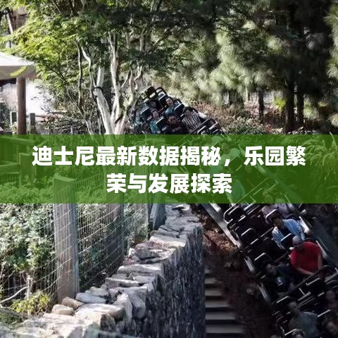 迪士尼最新数据揭秘，乐园繁荣与发展探索