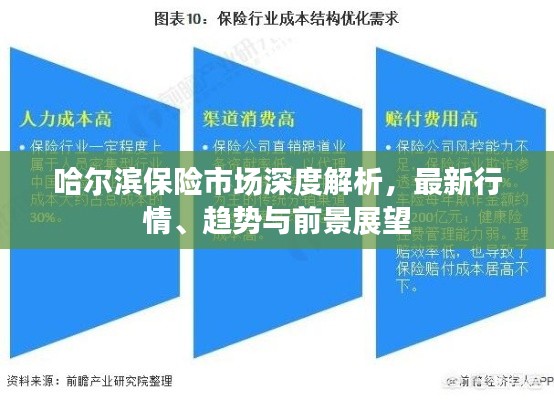 哈尔滨保险市场深度解析，最新行情、趋势与前景展望