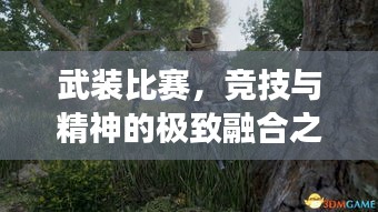 武装比赛，竞技与精神的极致融合之旅