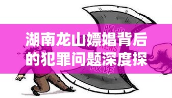 湖南龙山嫖娼背后的犯罪问题深度探讨，价格行情揭示违法真相