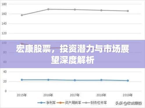 宏康股票，投资潜力与市场展望深度解析