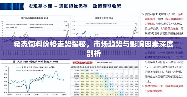 希杰饲料价格走势揭秘，市场趋势与影响因素深度剖析