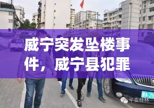 威宁突发坠楼事件，威宁县犯罪嫌疑人24人团伙 