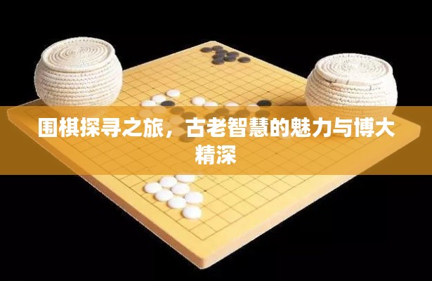 围棋探寻之旅，古老智慧的魅力与博大精深