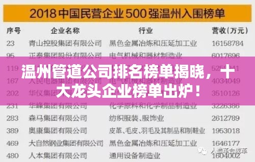 温州管道公司排名榜单揭晓，十大龙头企业榜单出炉！