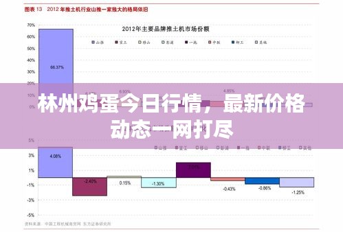 林州鸡蛋今日行情，最新价格动态一网打尽