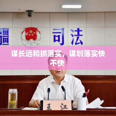 谋长远和抓落实，谋划落实快不快 