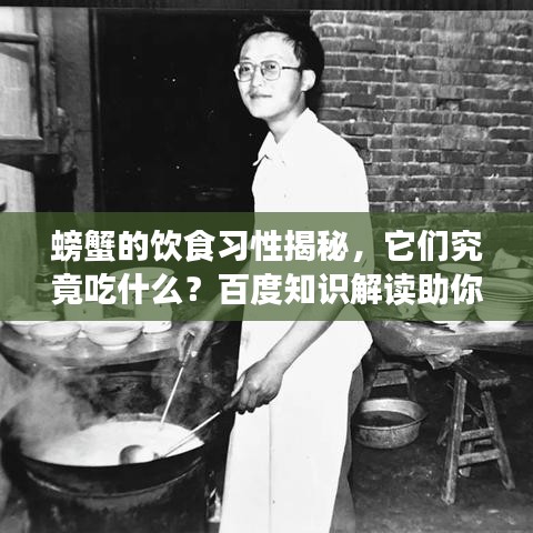 螃蟹的饮食习性揭秘，它们究竟吃什么？百度知识解读助你深入了解