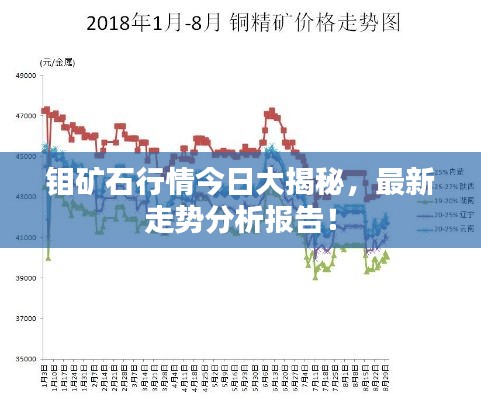 钼矿石行情今日大揭秘，最新走势分析报告！