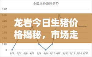 龙岩今日生猪价格揭秘，市场走势及影响因素分析