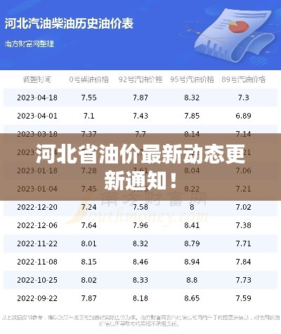 河北省油价最新动态更新通知！