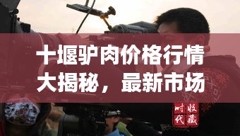 十堰驴肉价格行情大揭秘，最新市场动态分析！