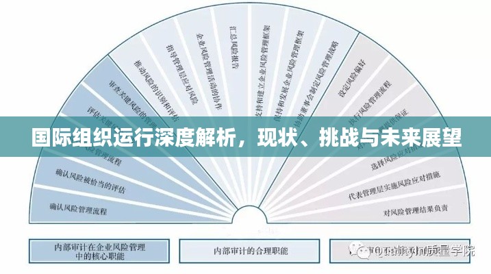 国际组织运行深度解析，现状、挑战与未来展望