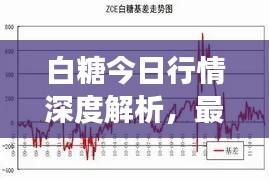 白糖今日行情深度解析，最新报告揭示市场走势