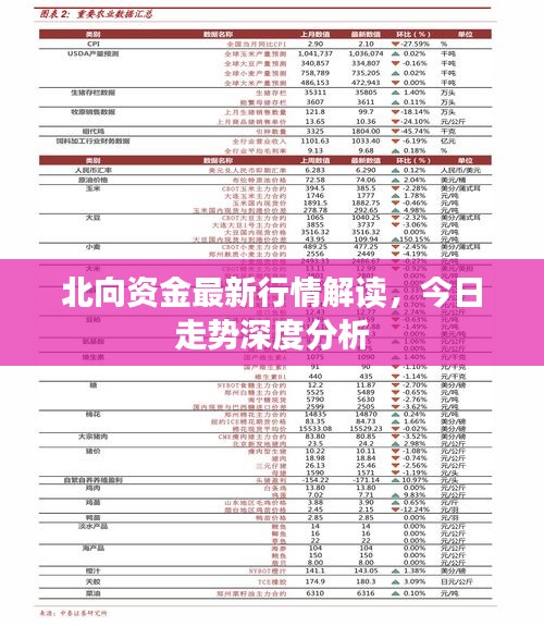 北向资金最新行情解读，今日走势深度分析