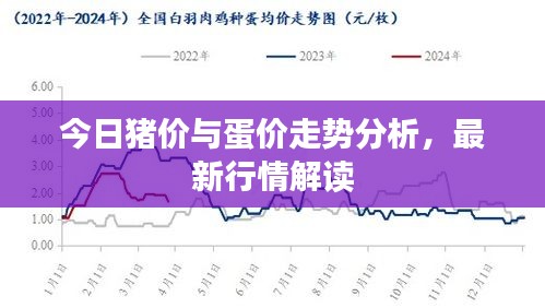 今日猪价与蛋价走势分析，最新行情解读