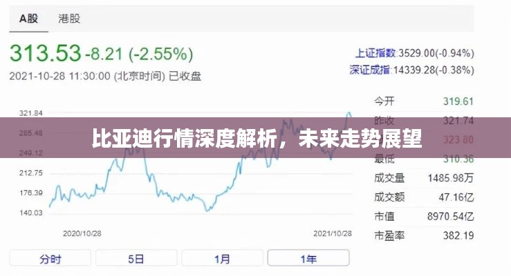 比亚迪行情深度解析，未来走势展望