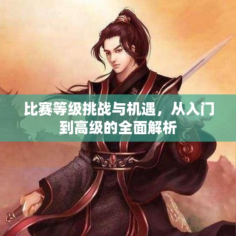 比赛等级挑战与机遇，从入门到高级的全面解析