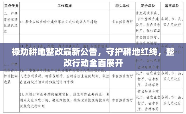 禄劝耕地整改最新公告，守护耕地红线，整改行动全面展开