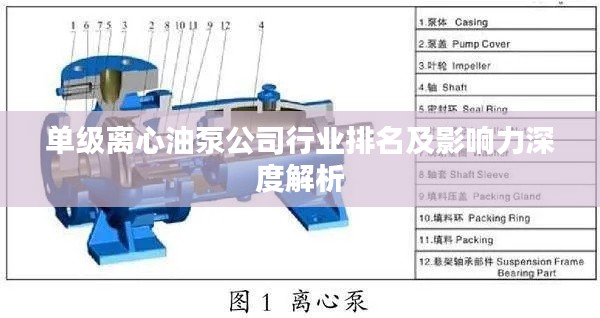 单级离心油泵公司行业排名及影响力深度解析