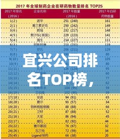 宜兴公司排名TOP榜，揭秘最佳企业榜单！