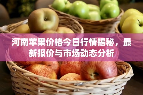 河南苹果价格今日行情揭秘，最新报价与市场动态分析