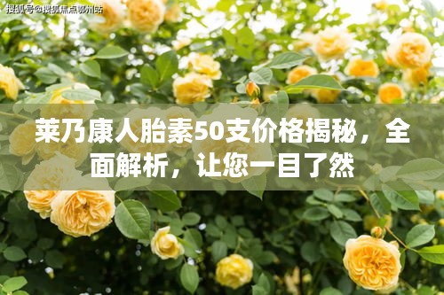 莱乃康人胎素50支价格揭秘，全面解析，让您一目了然