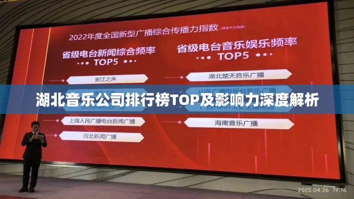 湖北音乐公司排行榜TOP及影响力深度解析