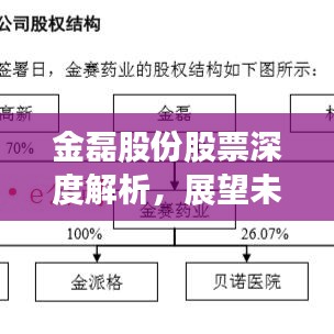 金磊股份股票深度解析，展望未来发展前景