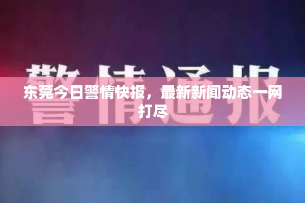 东莞今日警情快报，最新新闻动态一网打尽