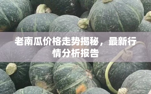 老南瓜价格走势揭秘，最新行情分析报告