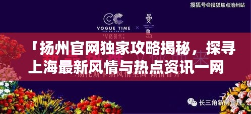 「扬州官网独家攻略揭秘，探寻上海最新风情与热点资讯一网打尽」