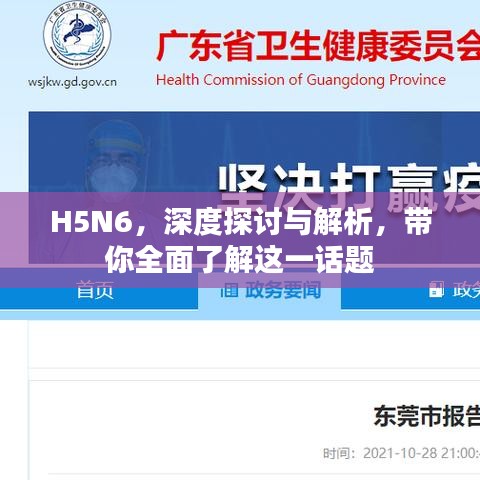 H5N6，深度探讨与解析，带你全面了解这一话题