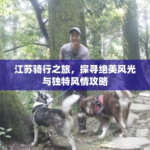 江苏骑行之旅，探寻绝美风光与独特风情攻略