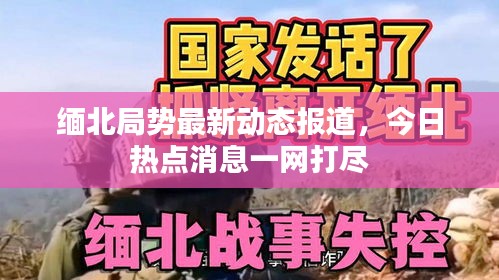 缅北局势最新动态报道，今日热点消息一网打尽