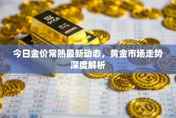 今日金价常熟最新动态，黄金市场走势深度解析