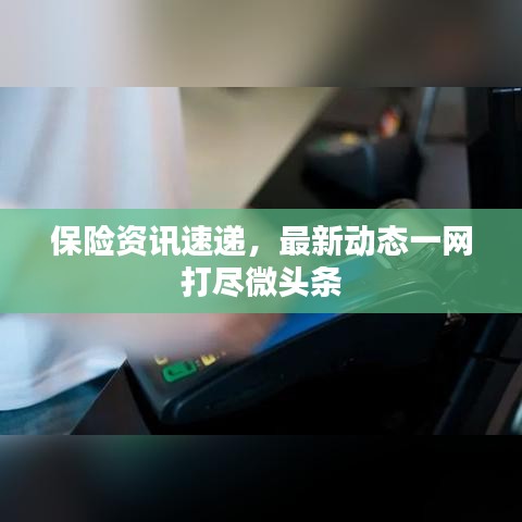 保险资讯速递，最新动态一网打尽微头条