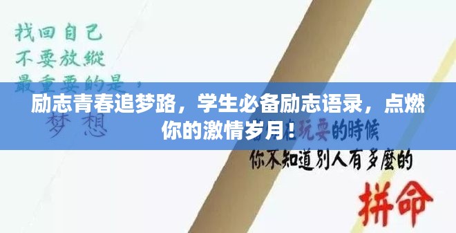 励志青春追梦路，学生必备励志语录，点燃你的激情岁月！