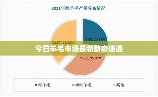 今日羊毛市场最新动态速递