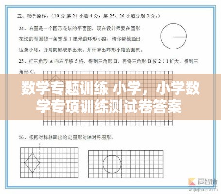 数学专题训练 小学，小学数学专项训练测试卷答案 