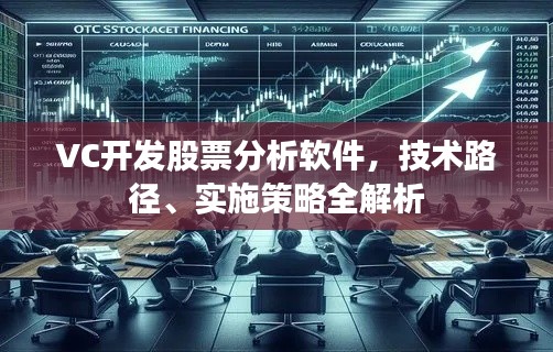 VC开发股票分析软件，技术路径、实施策略全解析