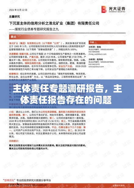 主体责任专题调研报告，主体责任报告存在的问题 